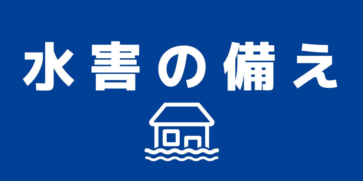ビバムサシの水害の備え