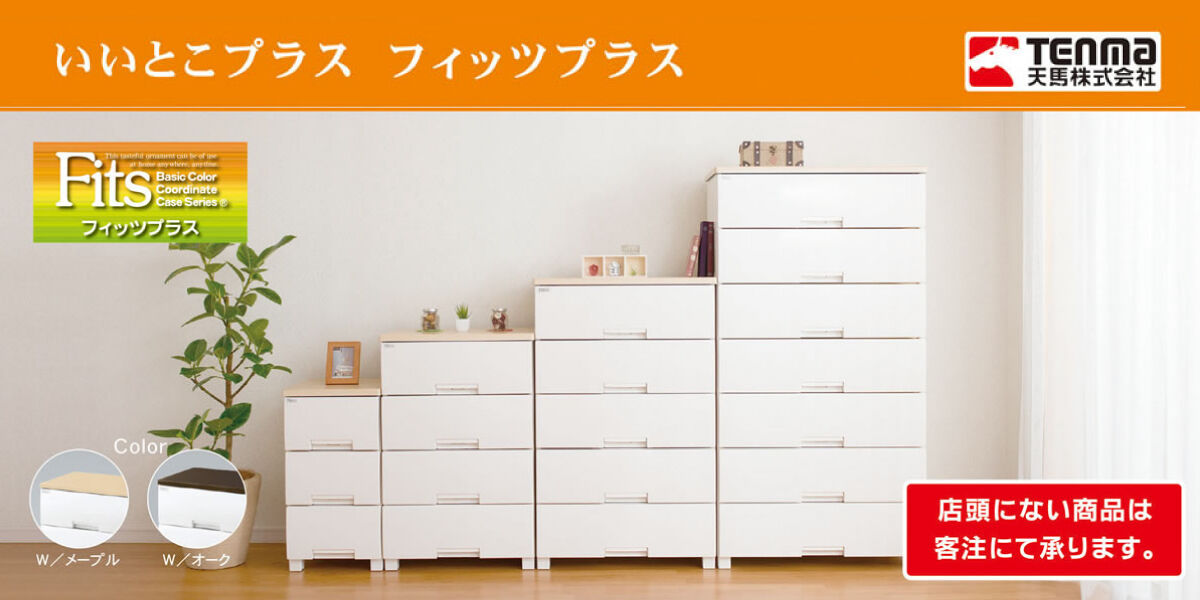 フィッツプラス特集