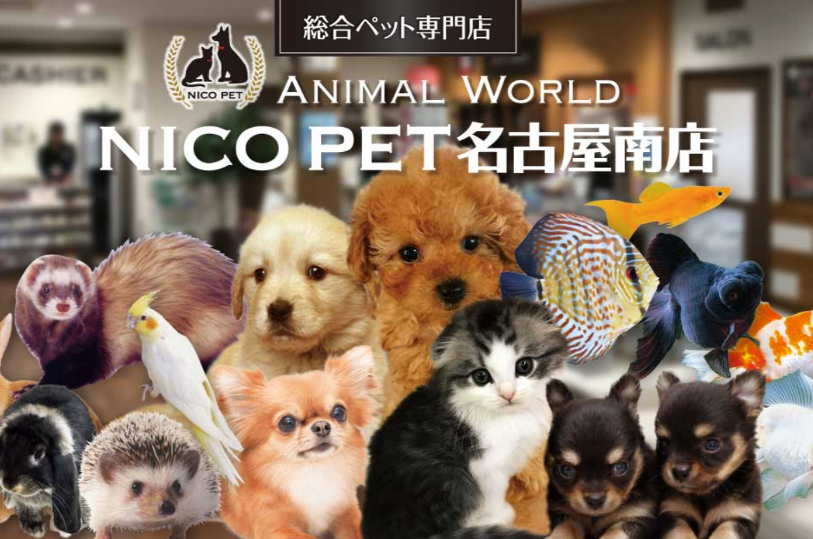 NICO PET 名古屋南店