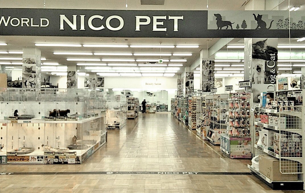 NICO PET 豊洲店
