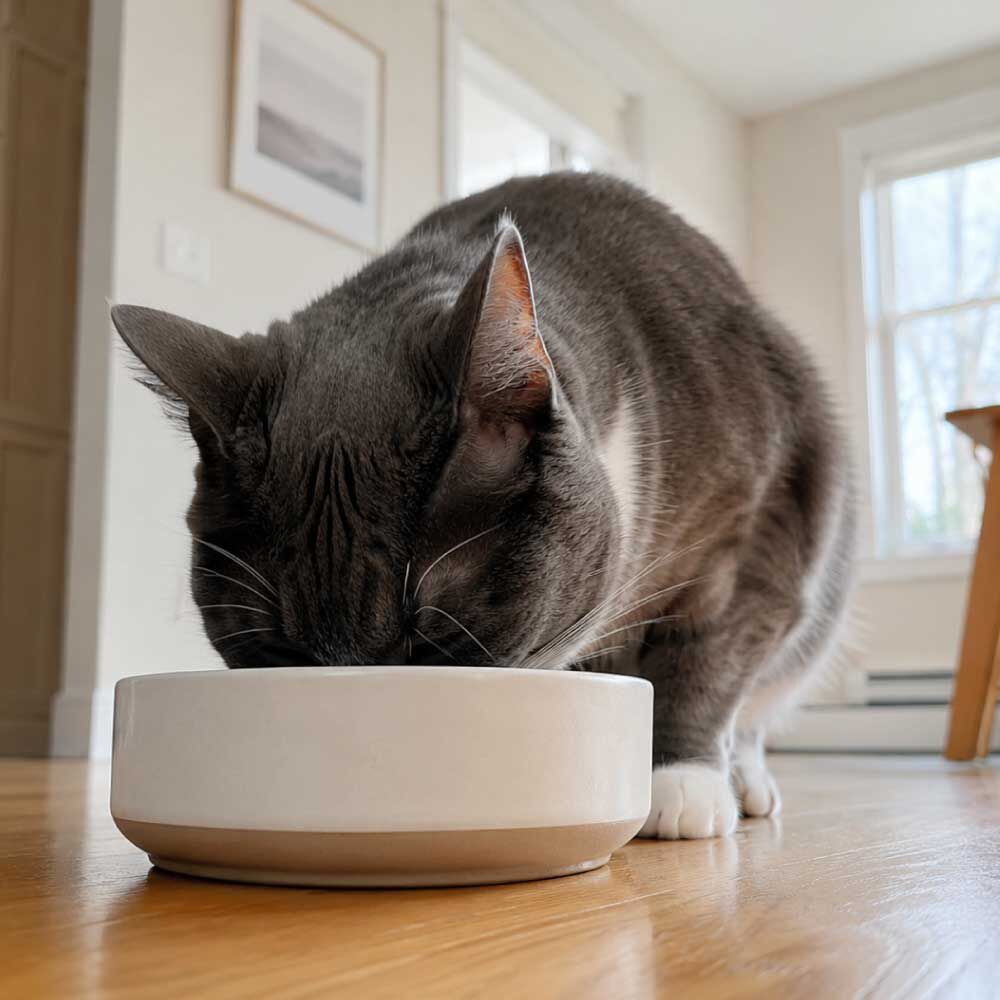 毎日の食事で健康寿命をサポート