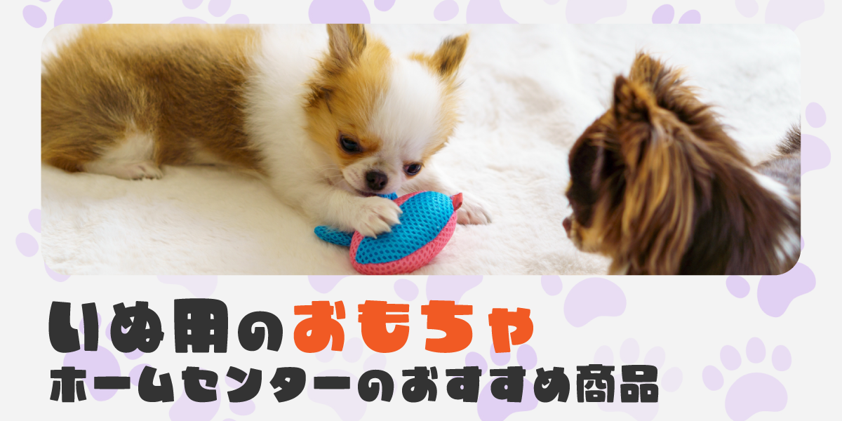 遊びながら育つ！愛犬のための噛む・知育・トレーニングおもちゃ特集