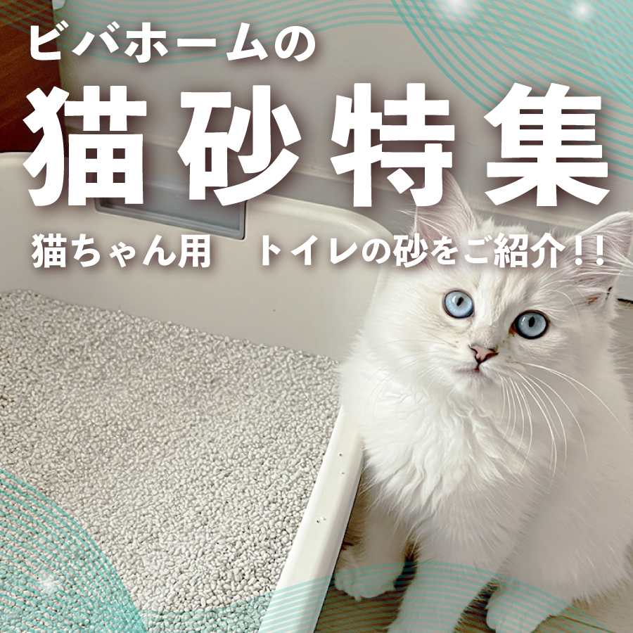 猫砂特集