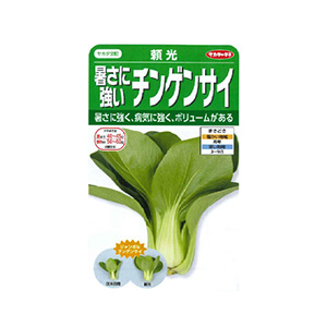 種