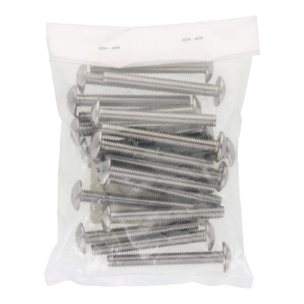 ステンレス　小ねじ　トラス　Ｍ６&times;５０　２０入, ステンレス, 20個入り