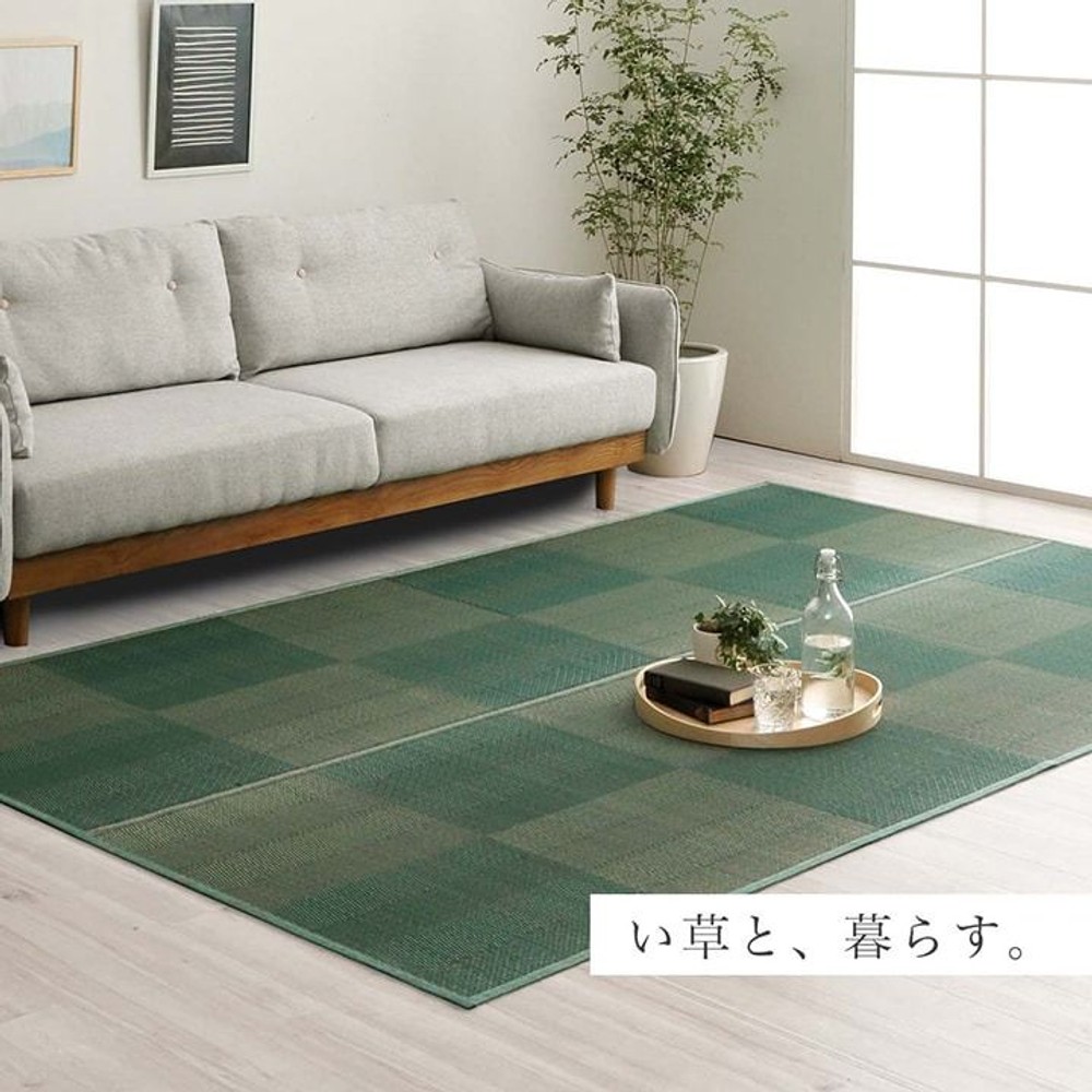 イケヒコ い草カーペット 花ござ ルネ ブラウン 江戸間 【メーカー直送・代引不可】, ブラウン, 江戸間2畳 174&times;174cm