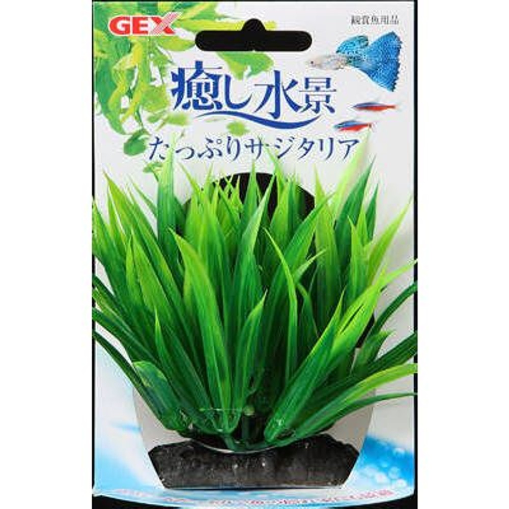 癒し水景　たっぷりプランツ　サジタリア, -, -