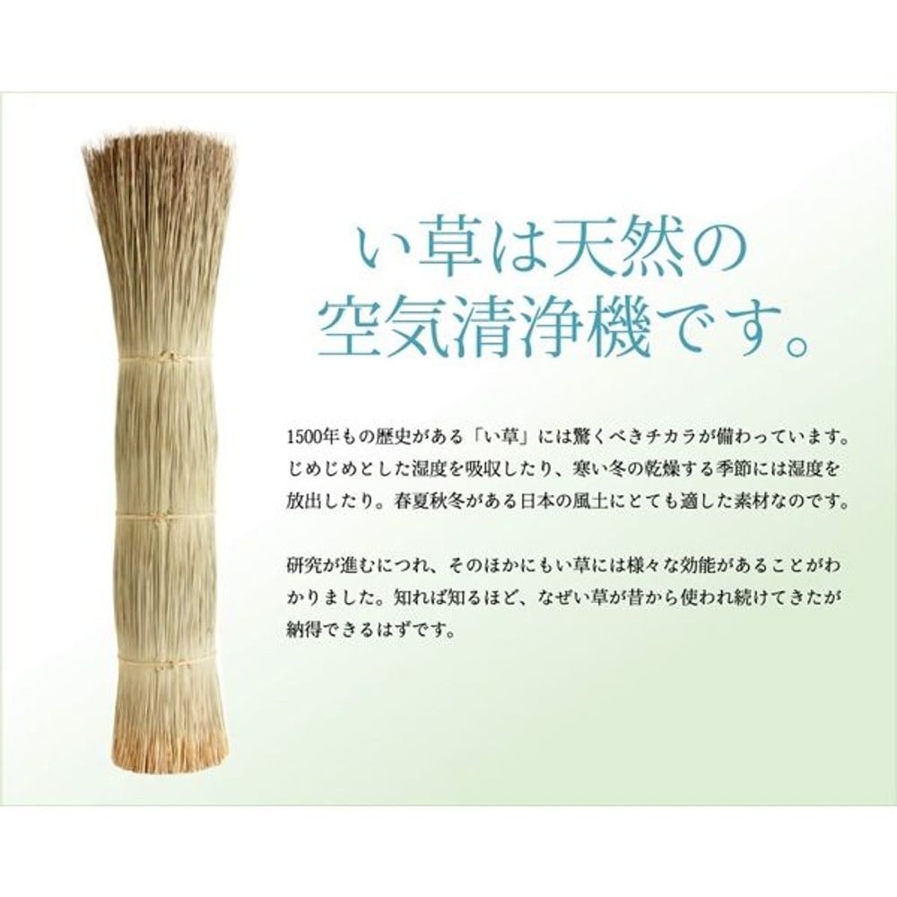 イケヒコ い草花ござカーペット 『DXパルコ裏貼CP』 ブルー 【メーカー直送・代引不可】, ブルー, 江戸間2畳 約174&times;174cm