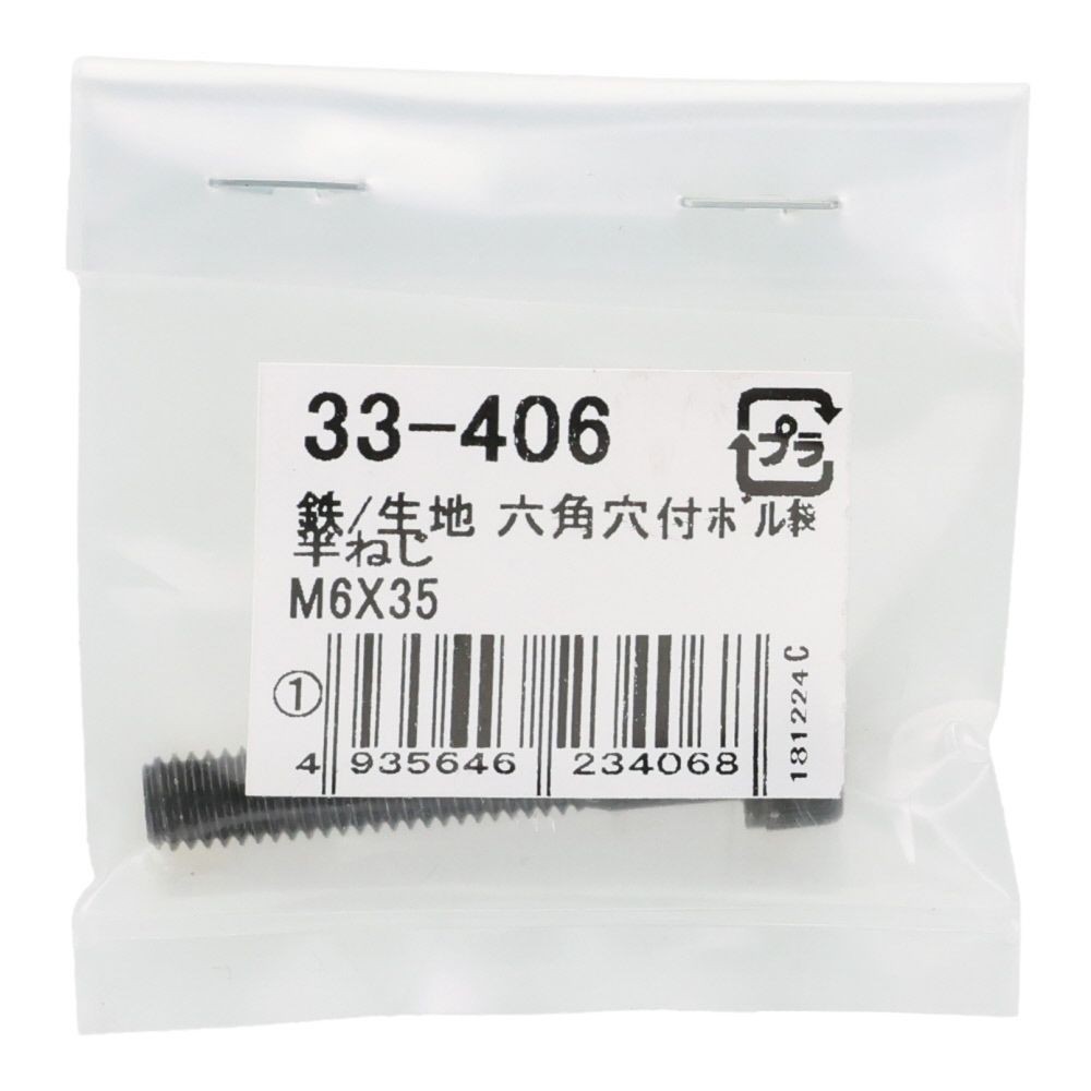 生地　六角穴付ボルト　Ｍ６&times;３５ｍｍ　１本入, ボルト, M6&times;35
