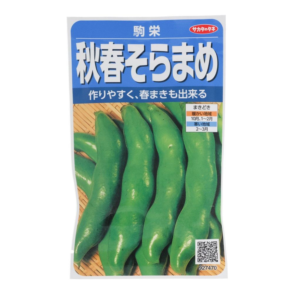 サカタ　ソラマメ　駒栄, そら豆, 28ml