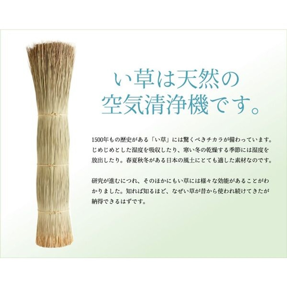 イケヒコ い草花ござカーペット 『DXパルコ裏貼CP』 ブルー 【メーカー直送・代引不可】, ブルー, 江戸間2畳 約174&times;174cm