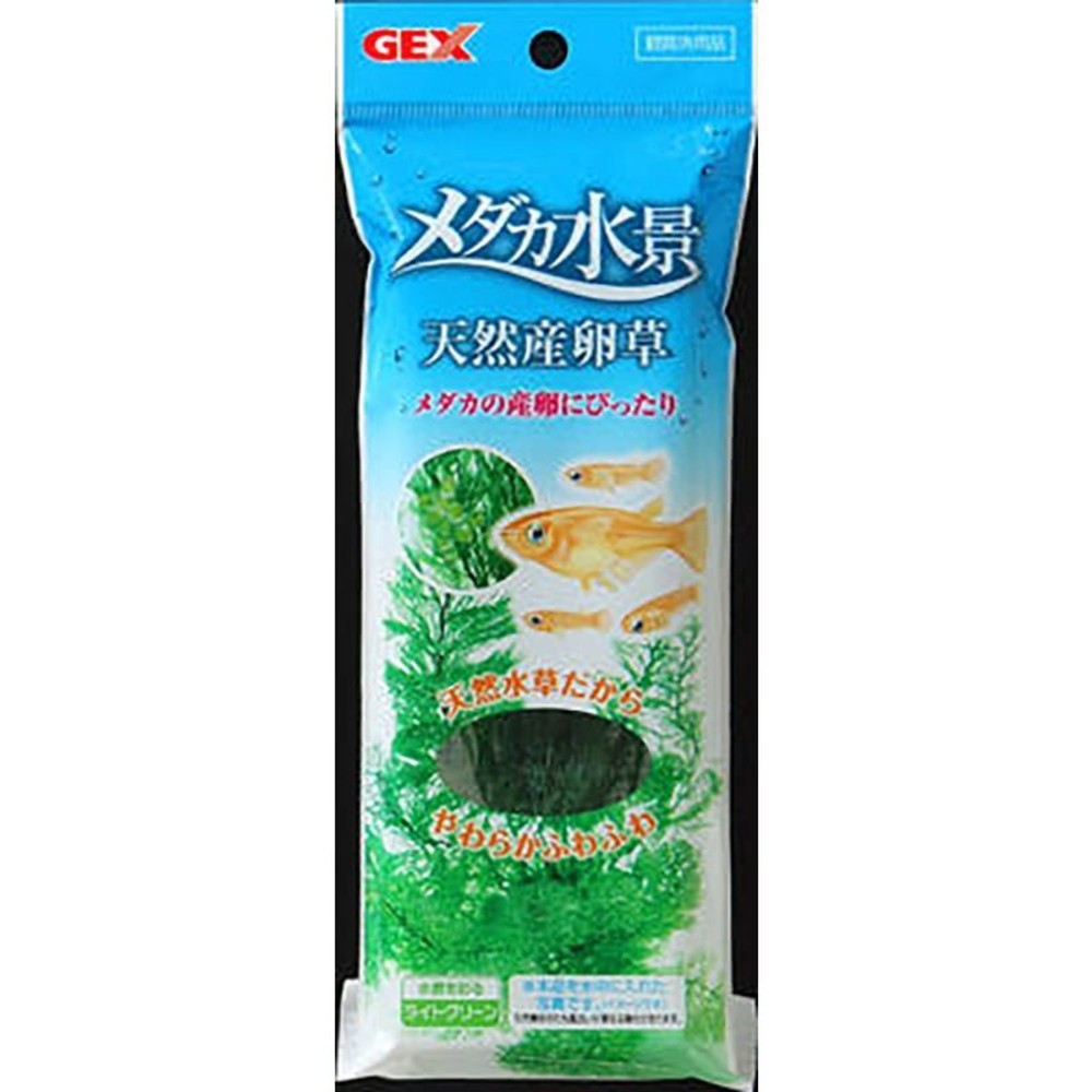 メダカ水景　天然産卵草, その他カラー１, その他サイズ１