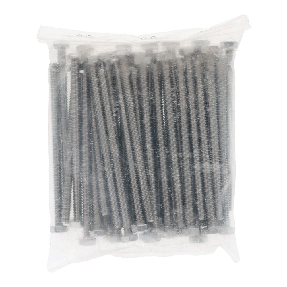 ステンレス　六角ボルト　Ｍ６&times;１００　５０入, ボルト, M6&times;100