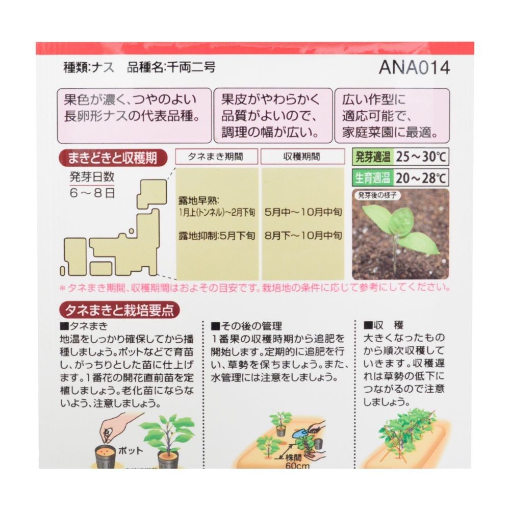 タキイ　千両二号, ナス, 40粒