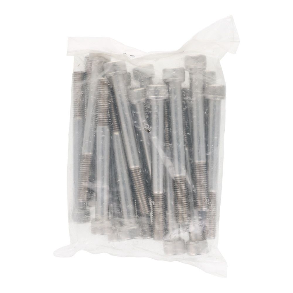 ステンレス　６角穴付ボルト　Ｍ１０&times;１００　２０個入, ステンレス, M10&times;100