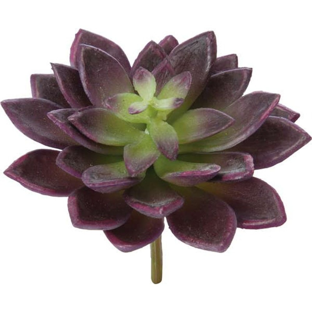 エケベリアピック, BUG, 造花