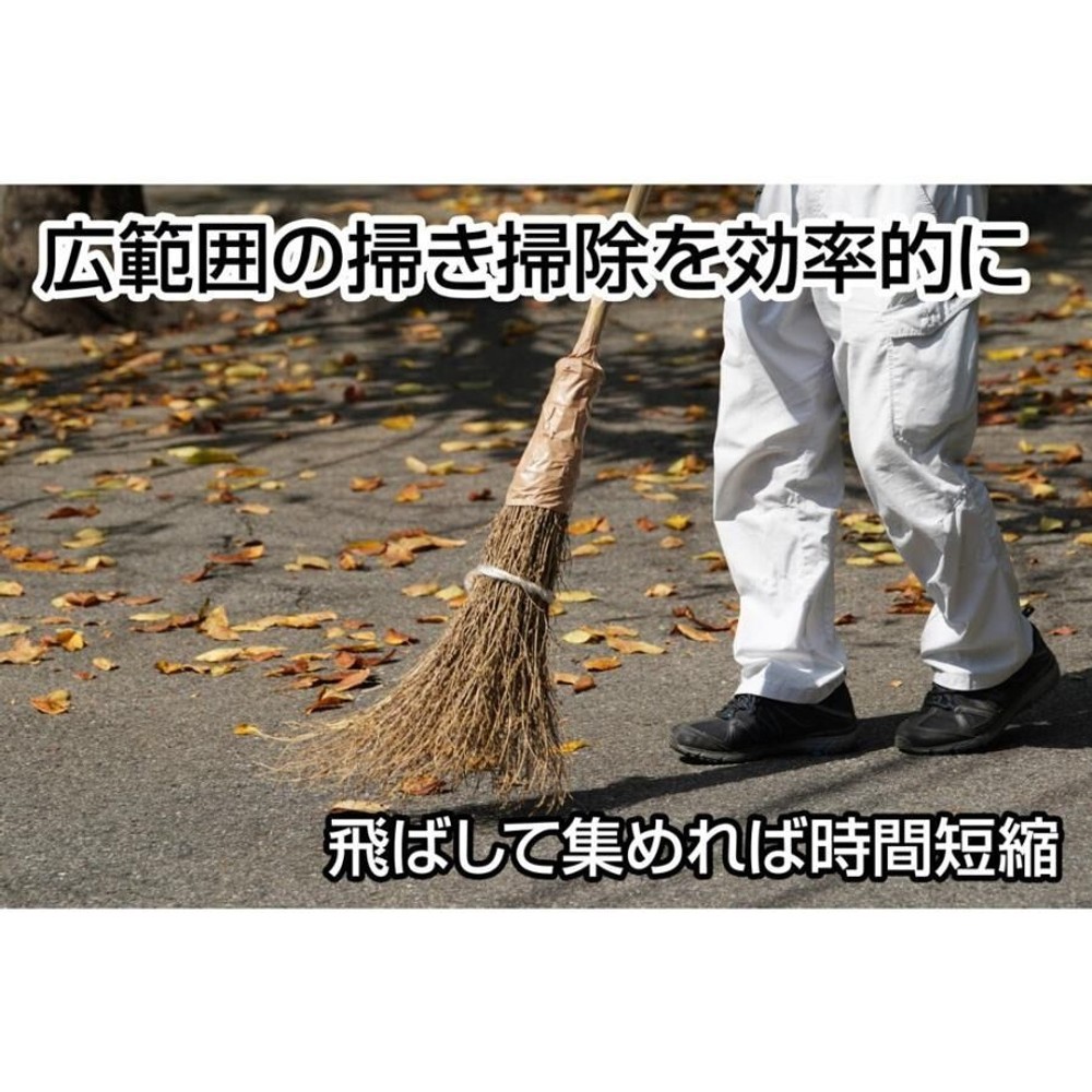 ジェントス SG by GENTOS Blower SGBW-01R 小型ブロワー, オレンジ, SGBW-01R