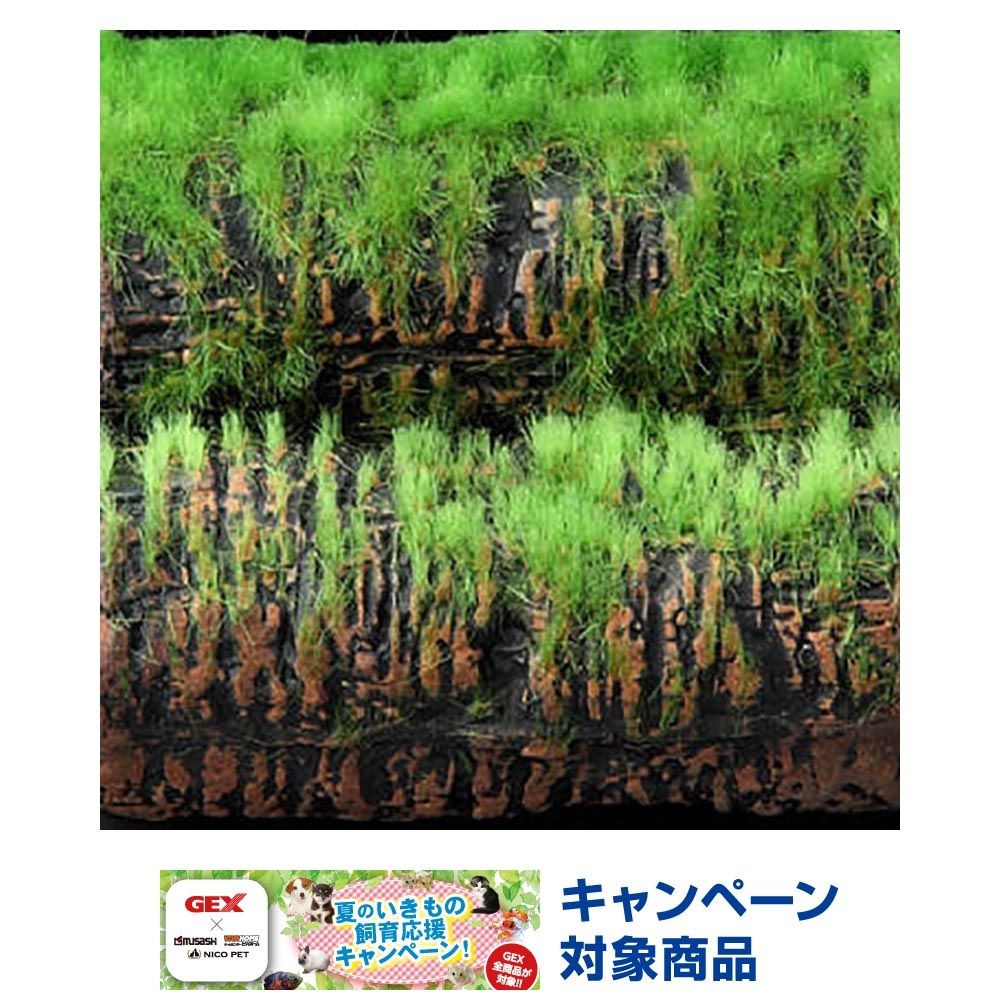 小さな和の庭　土管, グリーン（S）, Sサイズ