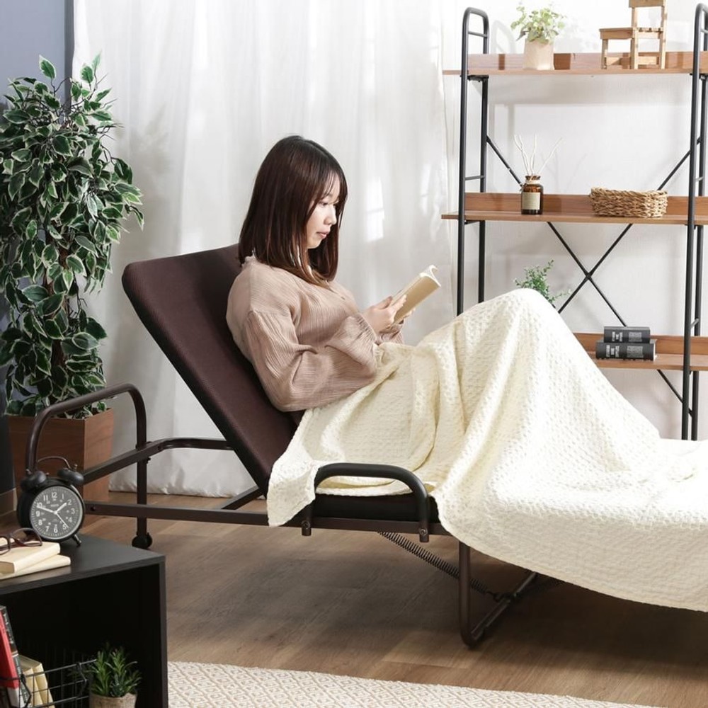 不二貿易  ワンタッチベッド　フリーロック42段 【メーカー直送・代引不可】, ブラウン, オリジナル