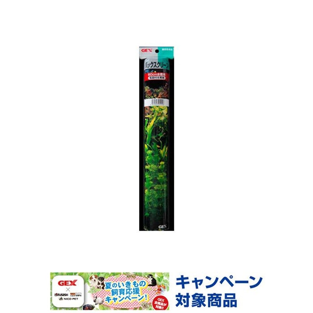 ＧＥＸ　バックスクリーン　　写真付　黒　ＧＸ―１１, -, -