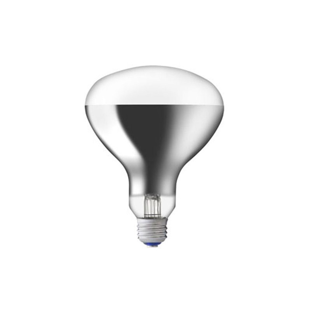 岩崎電気　屋外投光用アイランプ　散光形, クリア（150）, 150W