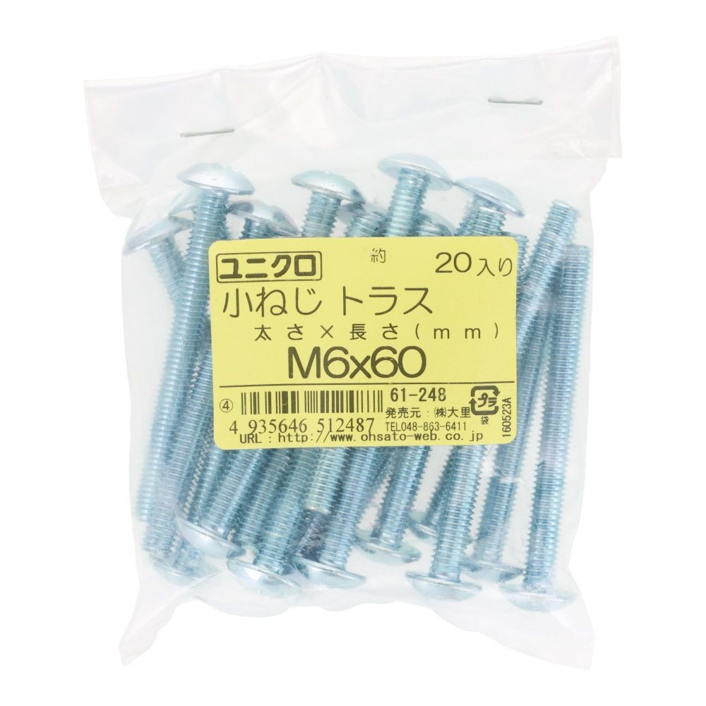 ユニクロ　小ねじ　トラス　Ｍ６&times;６０　２０個入り, 小ねじ, M6&times;60