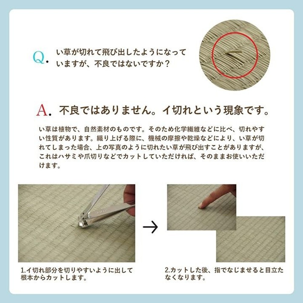 イケヒコ い草カーペット 花ござ ルネ 裏面不織布 レイクブルー 団地間 【メーカー直送・代引不可】, レイクブルー, 団地間4.5畳 255&times;255cm