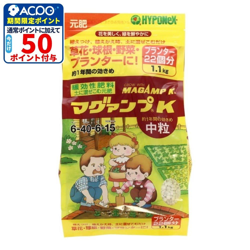 マグァンプＫ中粒　1．1ＫＧ, イエロー, その他サイズ１