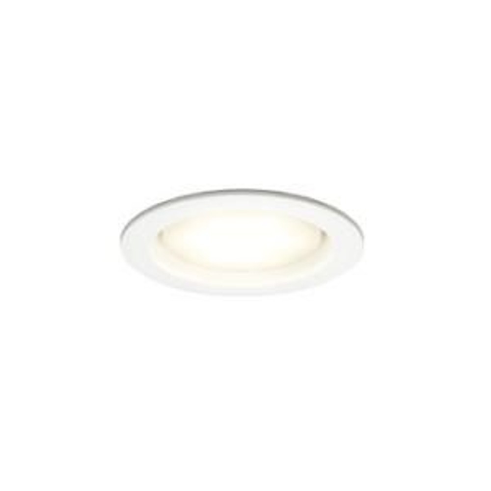 光源交換ＬＥＤダウン電球色φ１００　ＯＤ３６１２０４Ｌ, 白, -