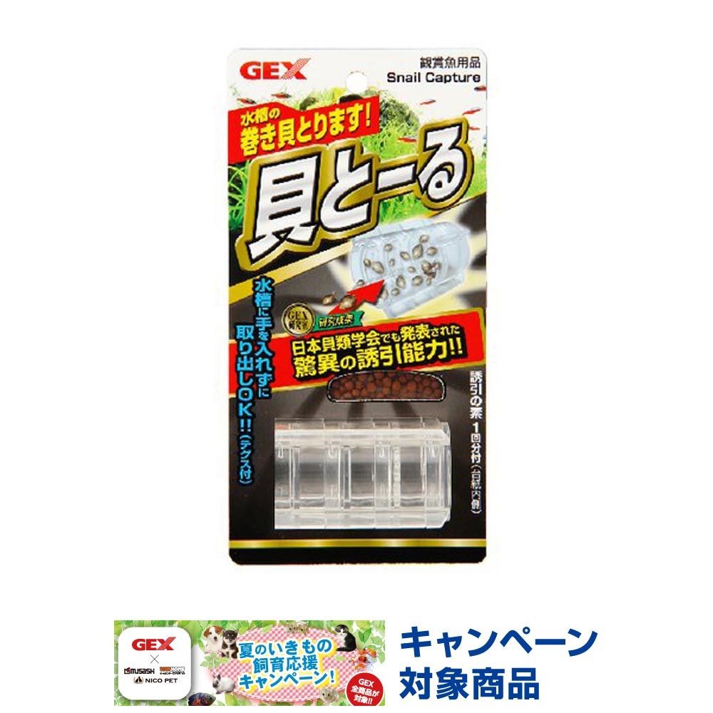 貝とーる, その他カラー１, その他サイズ１