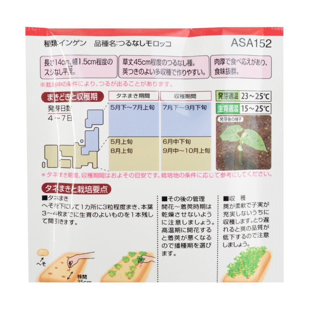 タキイ　つるなしインゲン　つるなしモロッコ, いんげん, 25ml