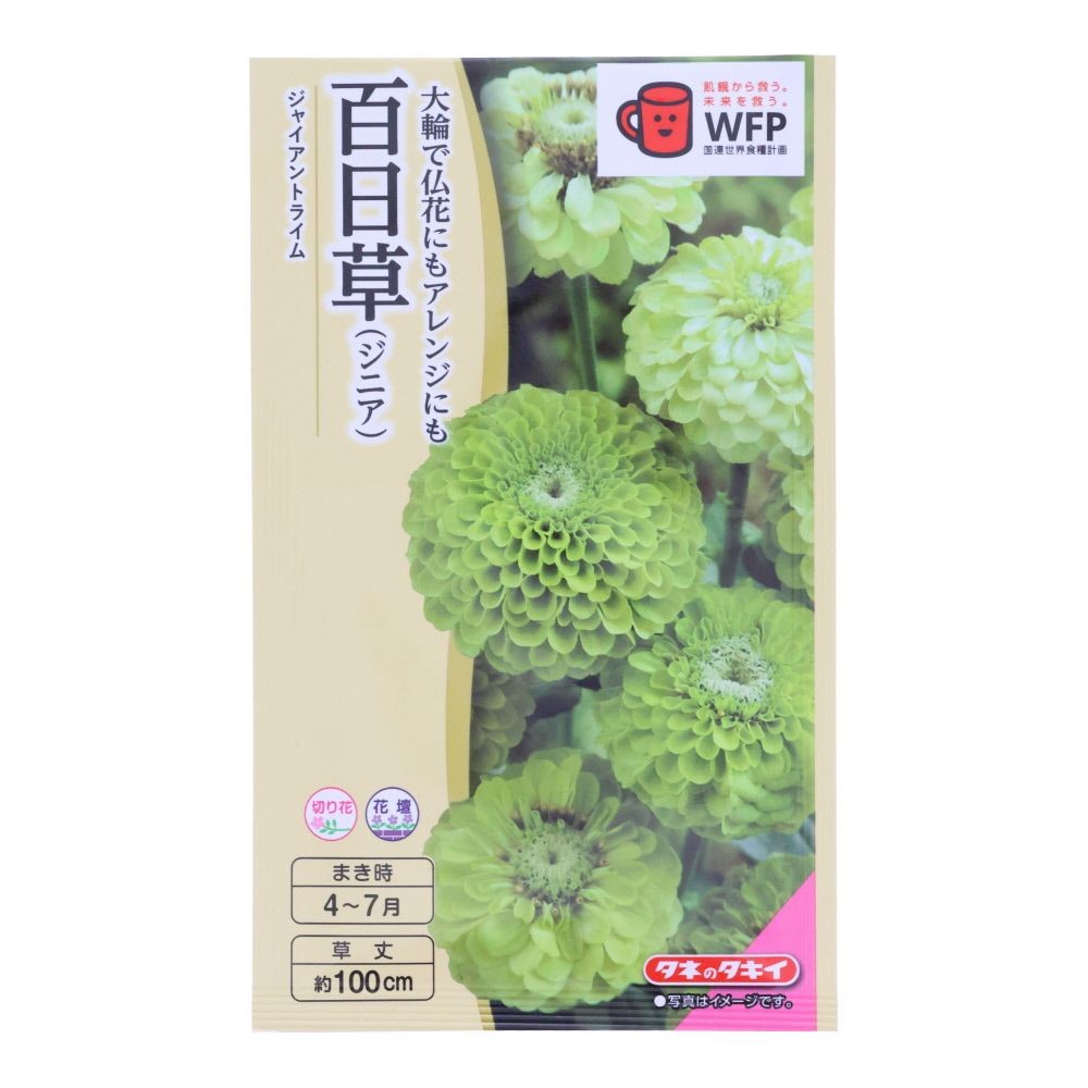 タキイ　百日草　ジャイアントライム, 百日草, 20粒