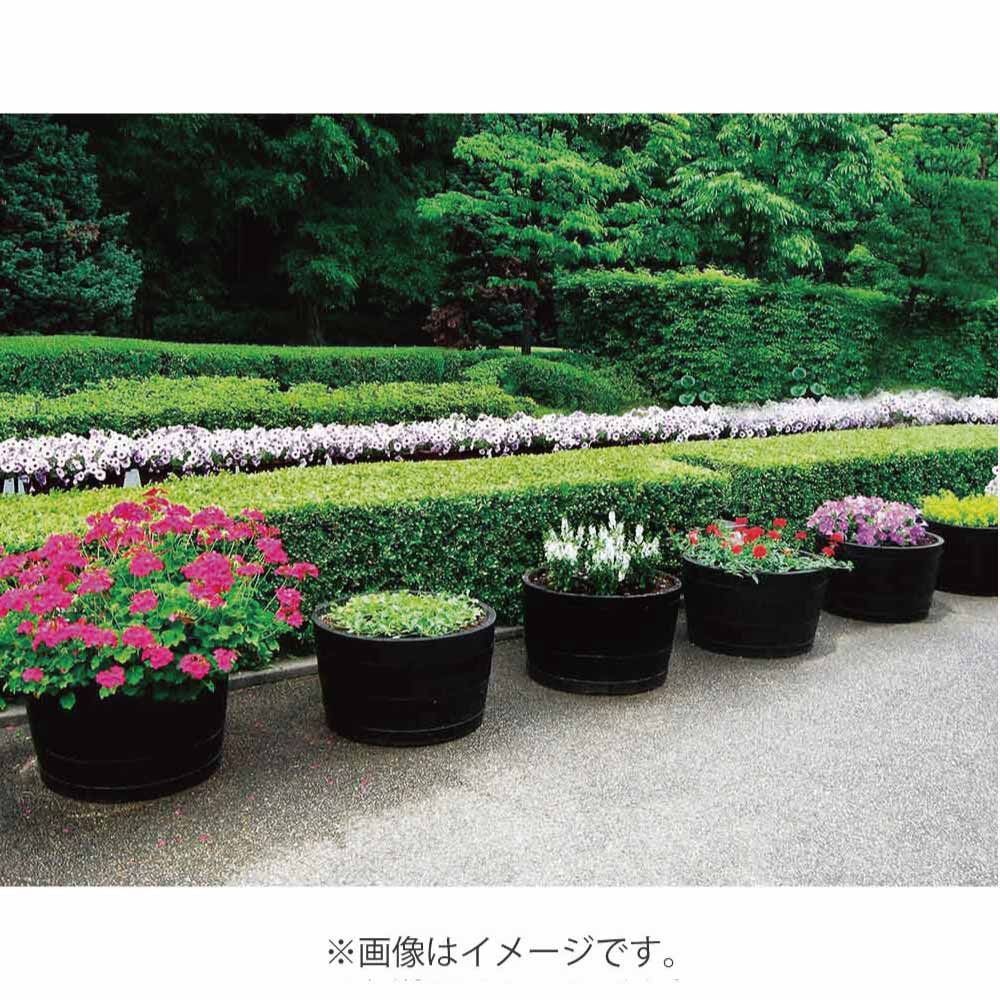 ウイスキー樽プランター　GB-9545　椀型90　ナチュラル　【メーカー直送・代引不可】【北海道・沖縄・離島除く】, ナチュラル, 椀型90