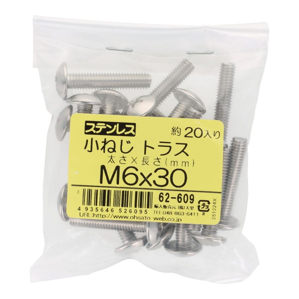 ステンレス　小ねじ　トラス　Ｍ６&times;３０　２０入, ステンレス, 20個入り