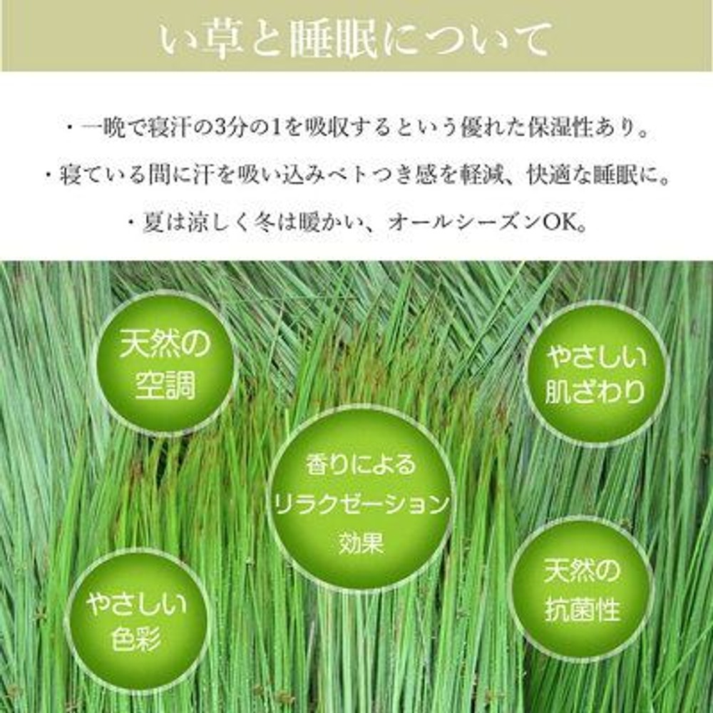 畳ベッド  ヘッドレス  シングルサイズ, ブラック, シングル