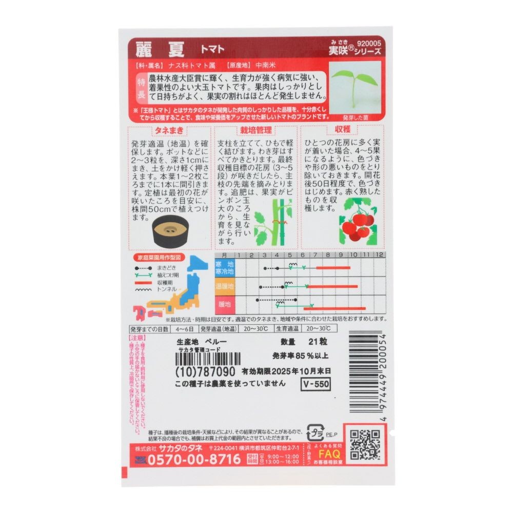 サカタ　王様トマト　麗夏, トマト, 21粒