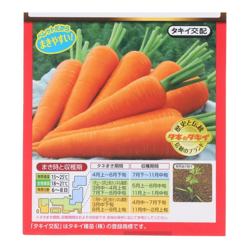 タキイ　にんじん　向陽ニ号, ニンジン, 200粒