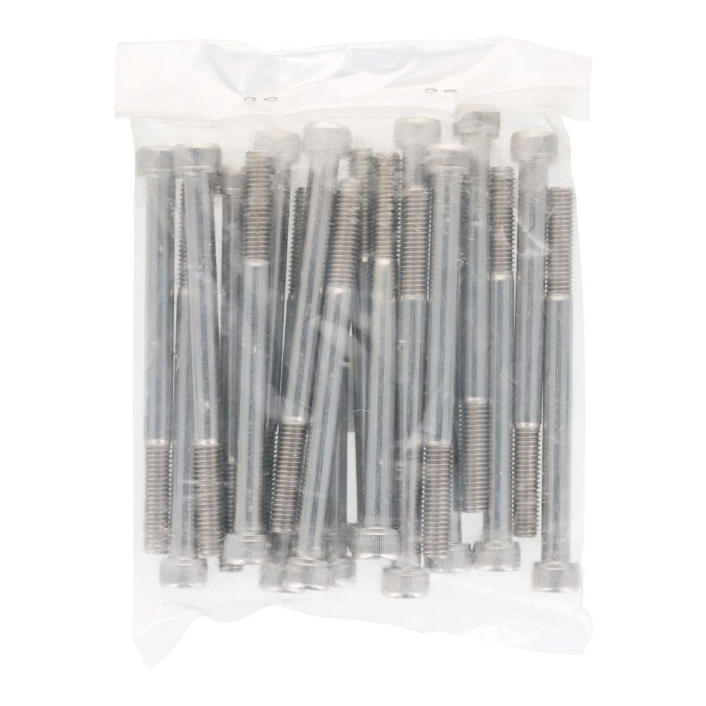 ステンレス　６角穴付ボルト　Ｍ８&times;１００　２０個入, ステンレス, M8&times;100