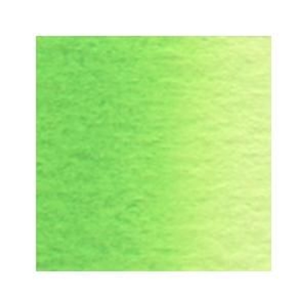 ホルベイン 透明水彩絵具 2号 (5ｍｌ) W069 カドミウム グリーン ペール, W069カドミウムグリーンペール, 2号 (5ｍｌ) 