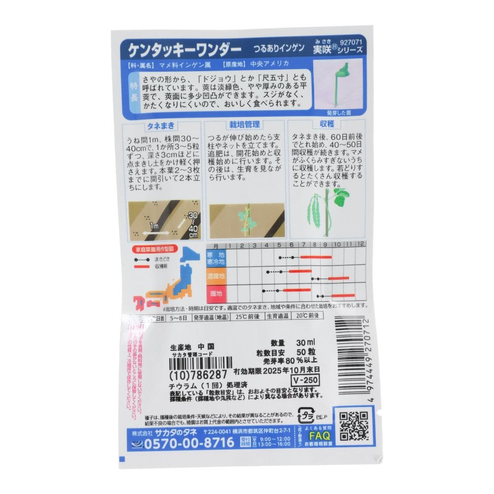 サカタ　つるありインゲン　ケンタッキーワンダー, インゲン, 30ml