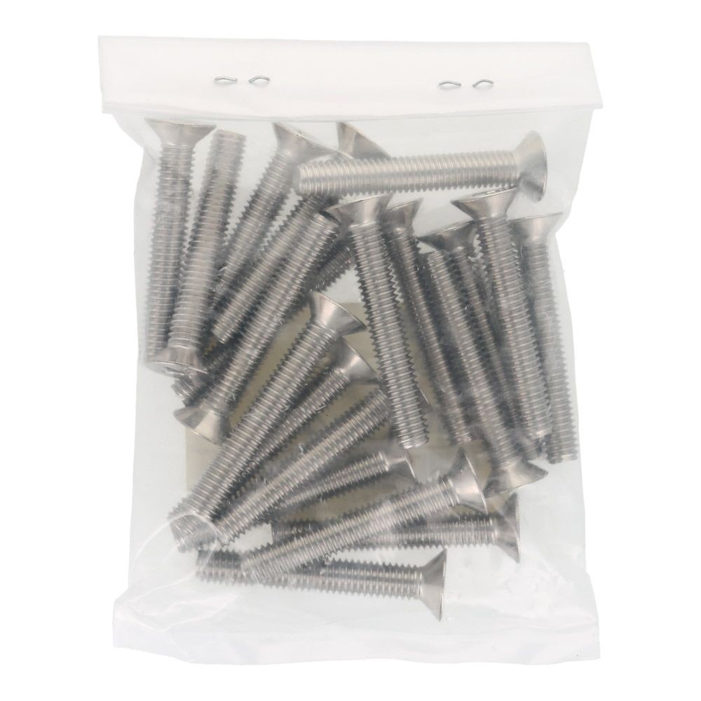 ＯＨＳＡＴＯ　ステンレス　小ねじ　皿　Ｍ６&times;４０　２０入, ステンレス, 20個入り