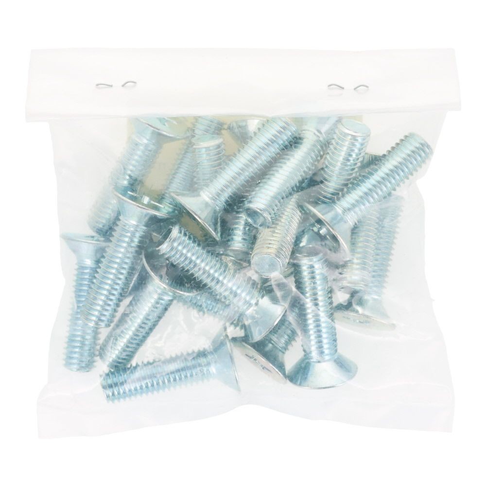 ユニクロ　小ねじ　皿　Ｍ８&times;３０　２０個入り, 小ねじ, M8&times;30