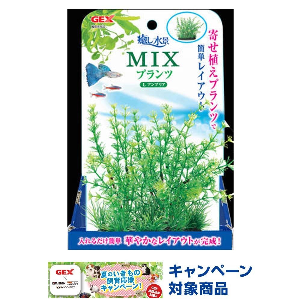 ジェックス　癒し水景ＭＩＸプランツＬアンブリア, その他カラー１, その他サイズ１