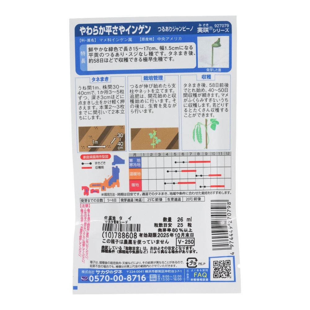 やわらか平さやインゲン　つるありジャンビーノ, インゲン, 26ml