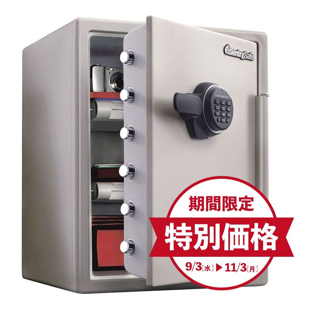 【期間限定特別価格】【開梱・設置費込】セントリー耐火金庫  JF205EV テンキー式 1時間耐火 56.6L【メーカー直送・代引不可】, ダブグレー, 56.6L