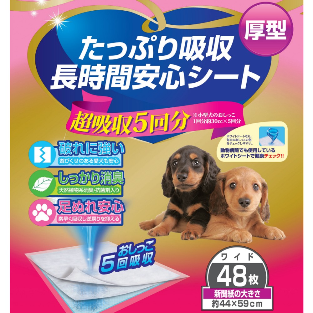たっぷり吸収長時間安心シート, R, レギュラー