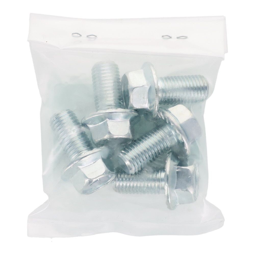 ７Ｔフランジボルト　細目　セレート付き　鉄　三価クロメート　Ｍ１０&times;２０　Ｐ＝１．２５　５本入り, ボルト, M10&times;20