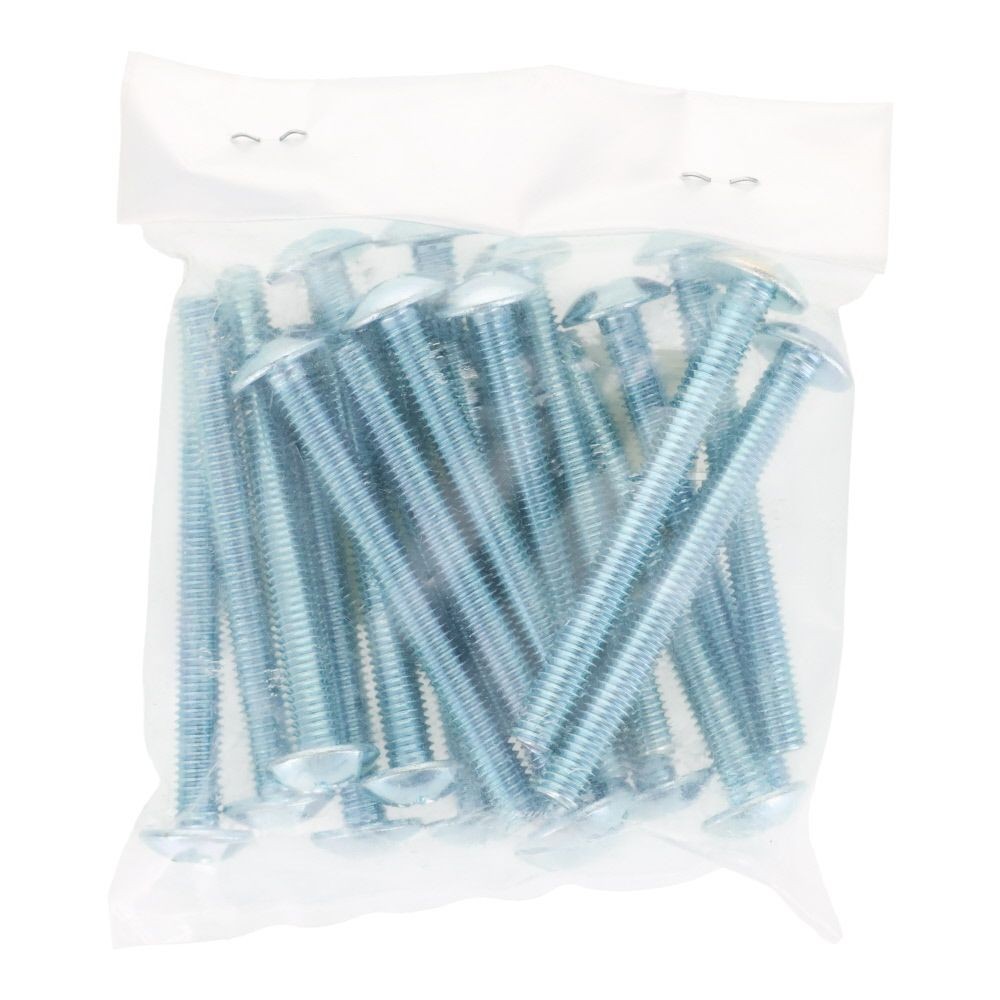 ユニクロ　小ねじ　トラス　Ｍ６&times;６０　２０個入り, 小ねじ, M6&times;60