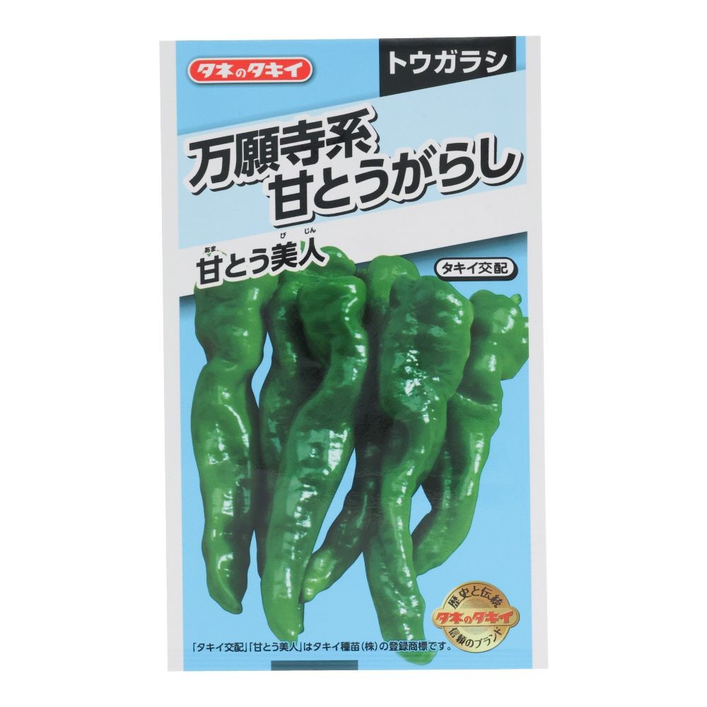 タキイ　万願寺系とうがらし甘とう美人, とうがらし, 15粒