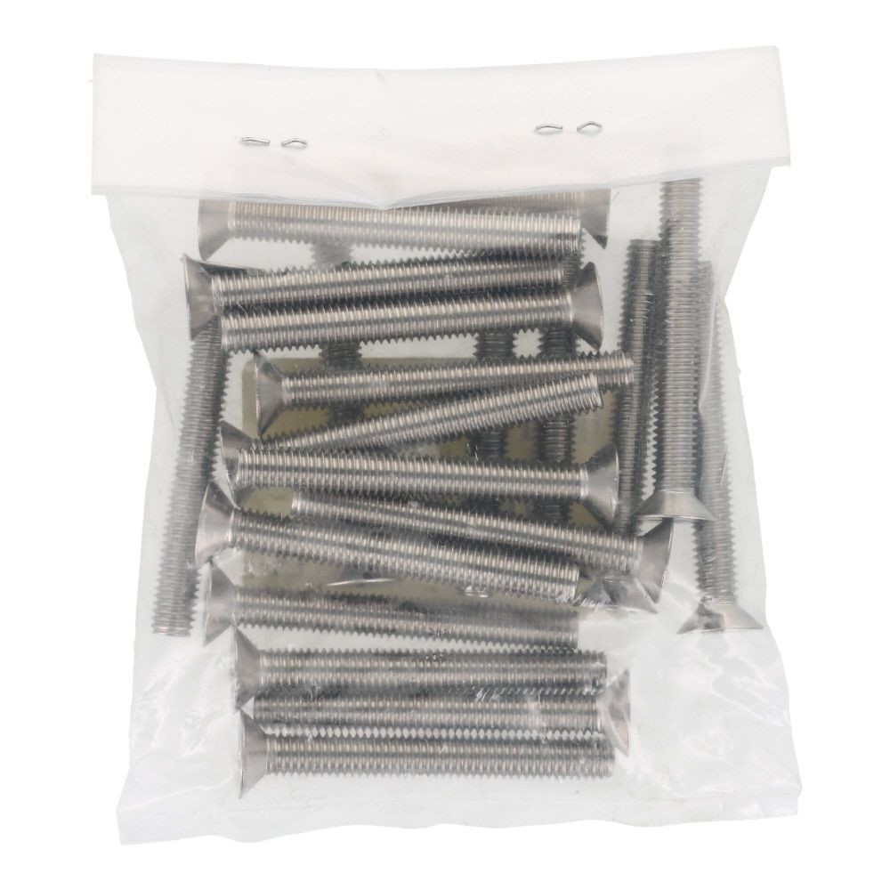 ＯＨＳＡＴＯ　ステンレス　小ねじ　皿　Ｍ６&times;５０　２０入, ステンレス, 20個入り